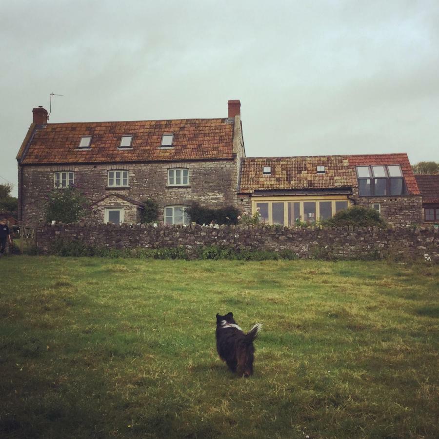 Castle Farm Bed and Breakfast Wedmore Buitenkant foto