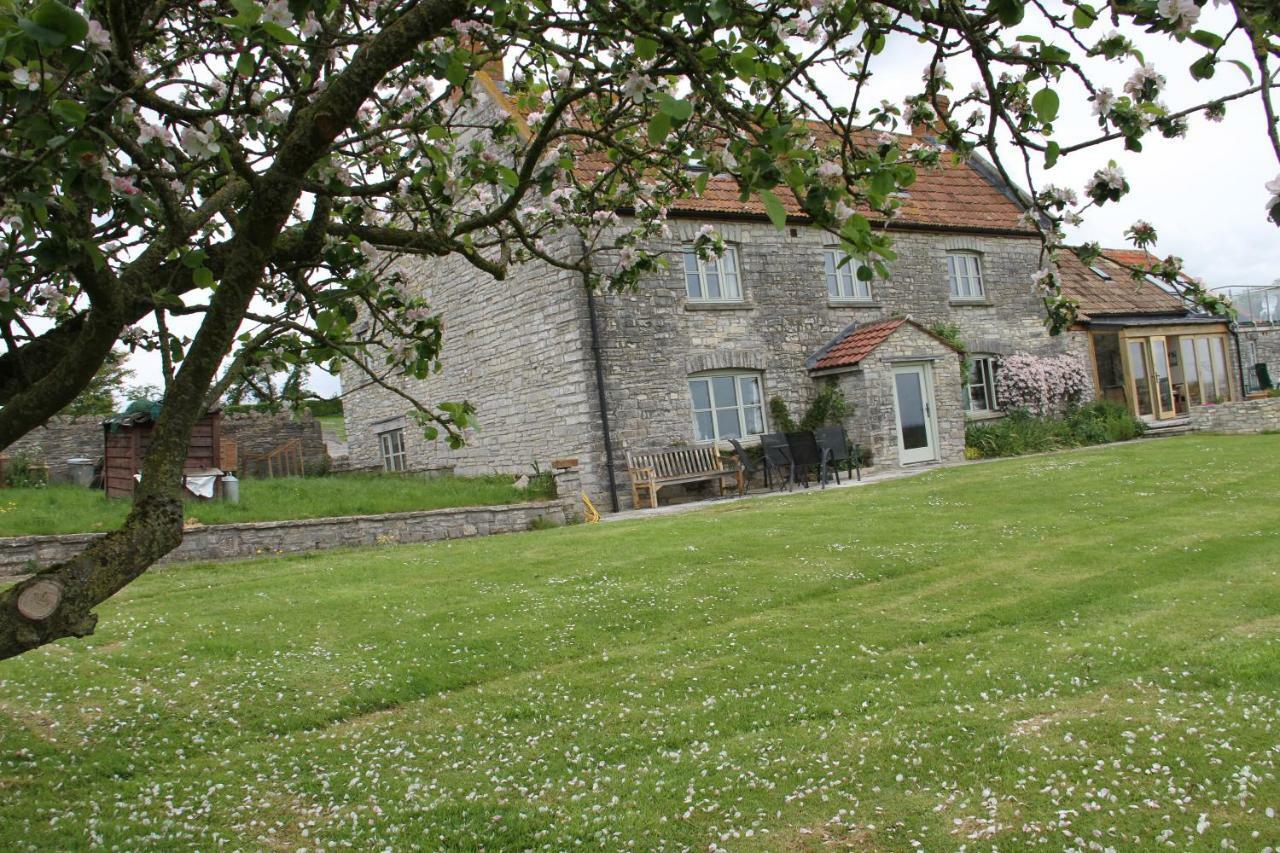 Castle Farm Bed and Breakfast Wedmore Buitenkant foto