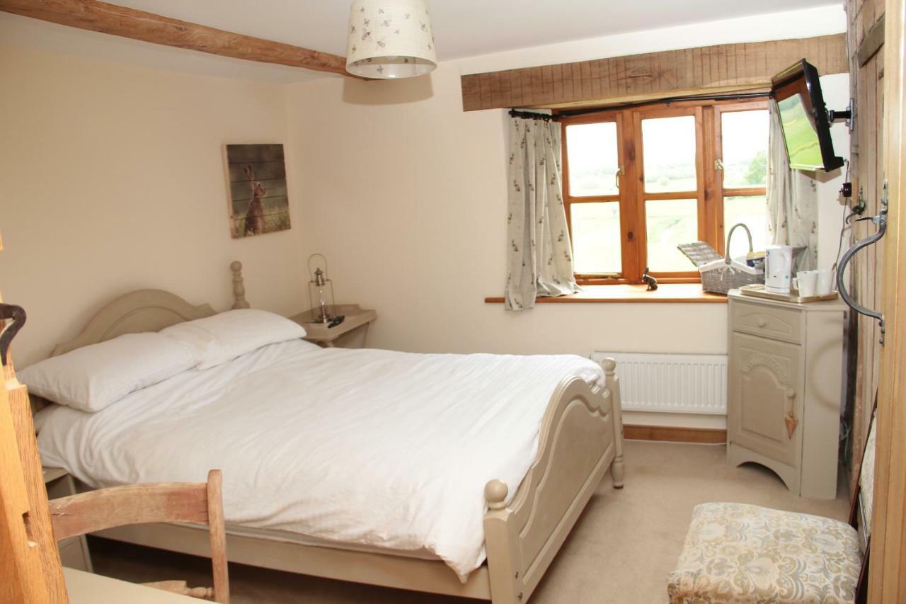 Castle Farm Bed and Breakfast Wedmore Buitenkant foto